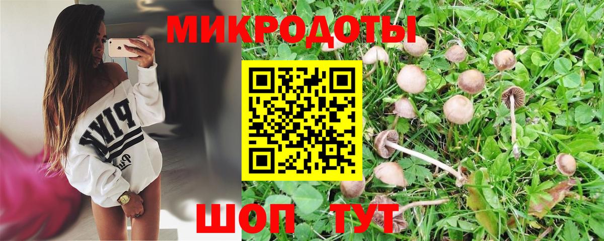 Псилоцибиновые грибы мухоморы  закладка  Галлюциногенные грибы Psilocybe  Пушкино  Вход с VPN 